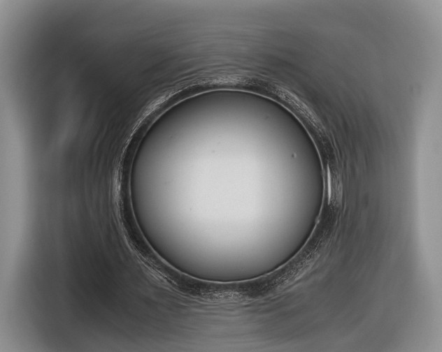 X0000116660483200912211510