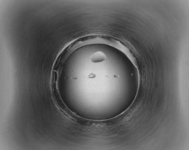 X0000116660484200912211510