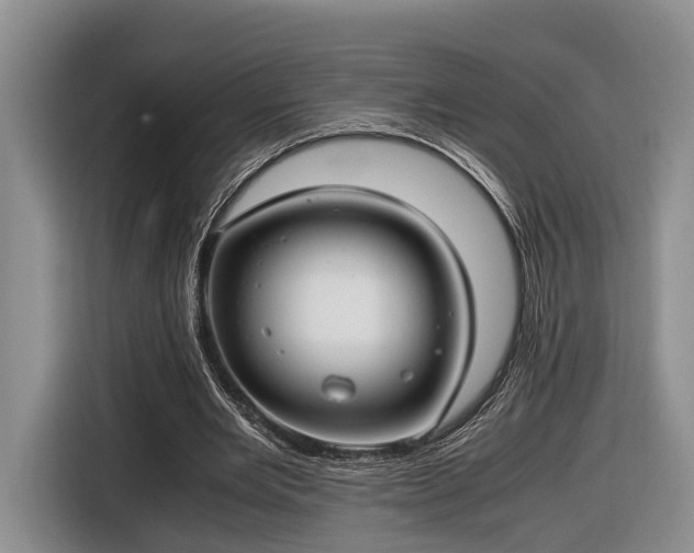 X0000116660485200912211510