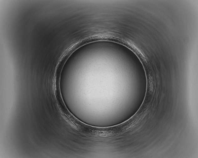 X0000116660486200912211510