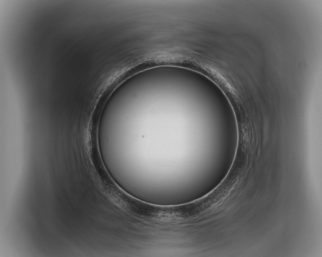 X0000116660487200912211510