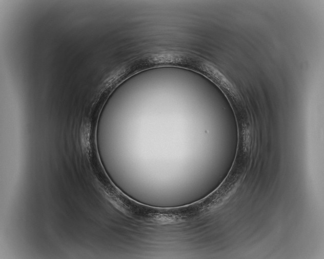 X0000116660490200912211510