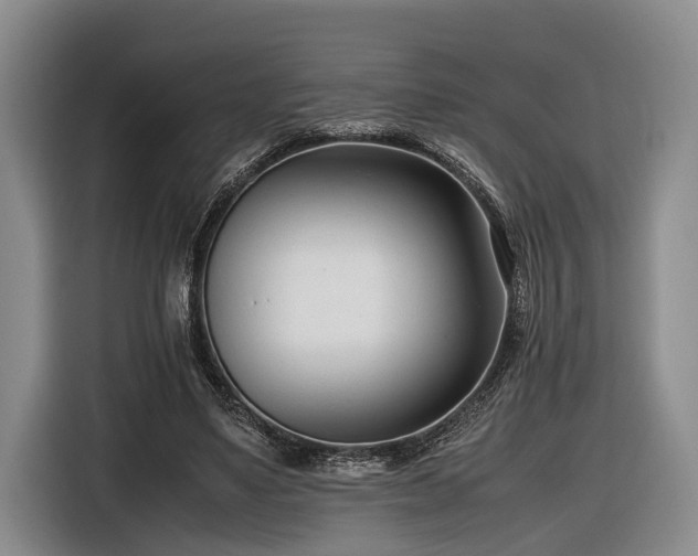 X0000116660491200912211510