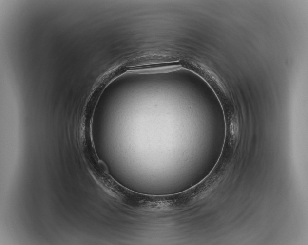 X0000116660492200912211510