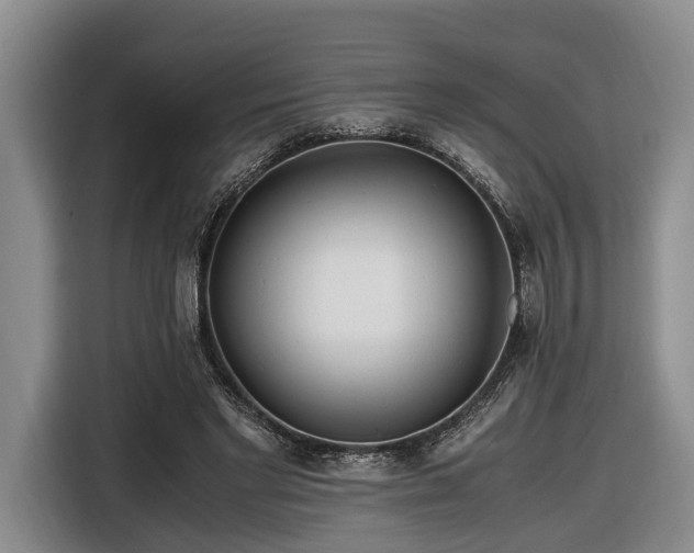 X0000116660493200912211510