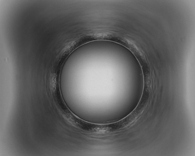 X0000116660495200912211510