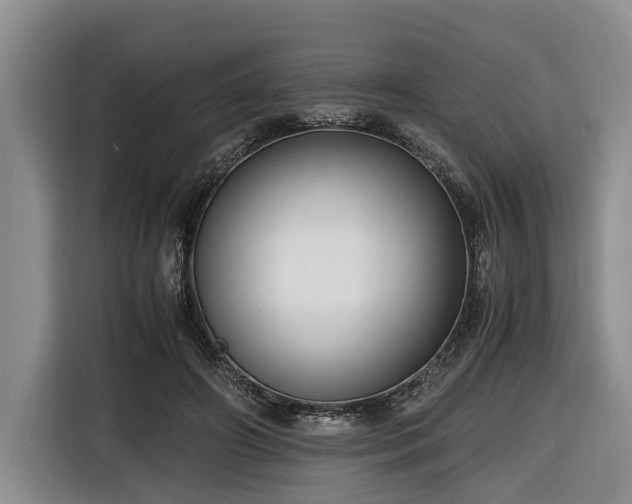 X0000116660498200912211510