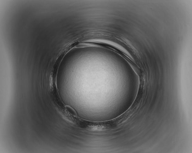 X0000116660500200912211510