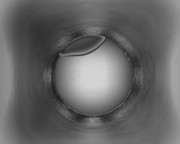 X0000116660501200912211510