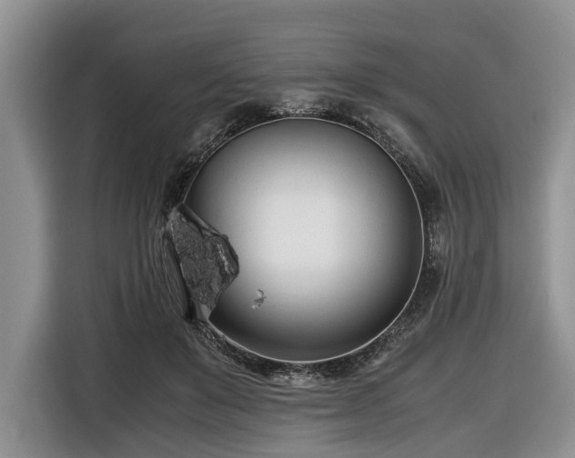 X0000116660503200912211510