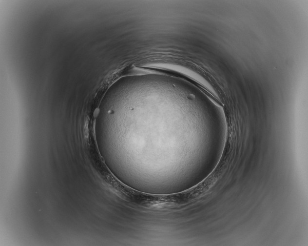 X0000116660504200912211510