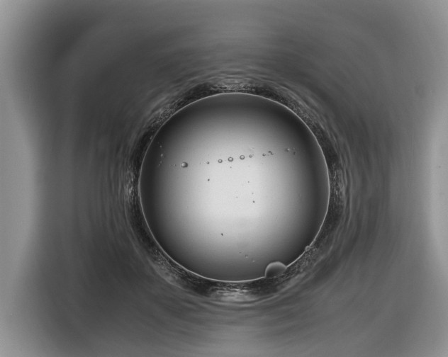 X0000116660507200912211510