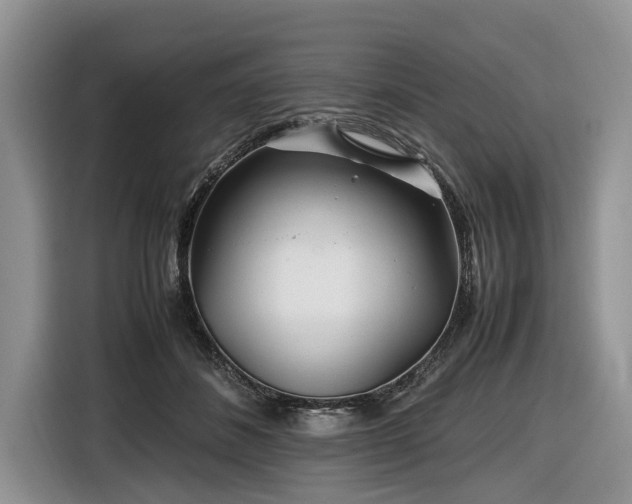 X0000116660508200912211510