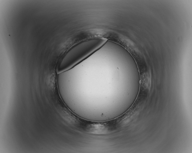 X0000116660509200912211510