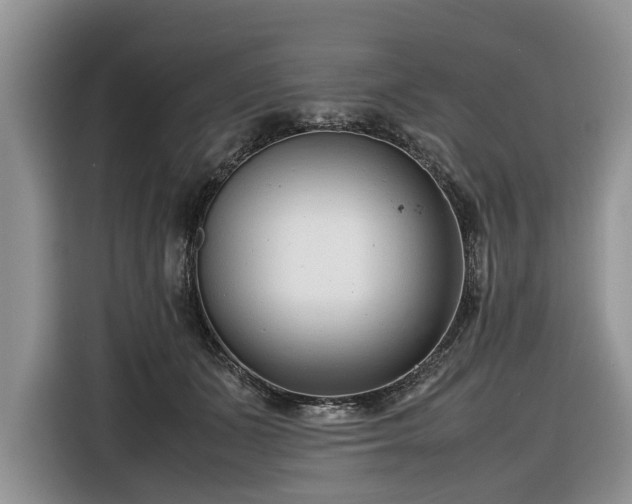 X0000116660511200912211510