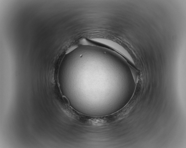 X0000116660512200912211510