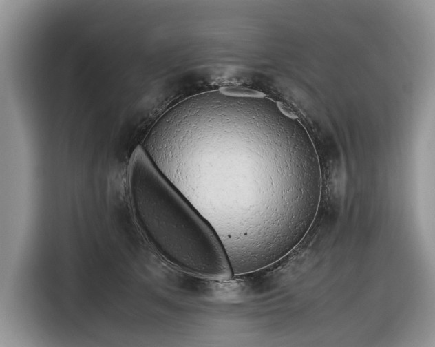 X0000116660513200912211510