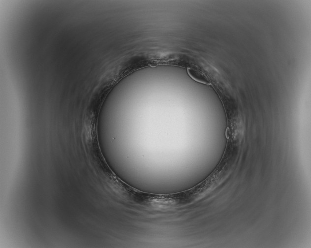 X0000116660515200912211510