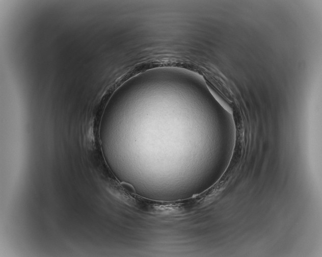 X0000116660516200912211510