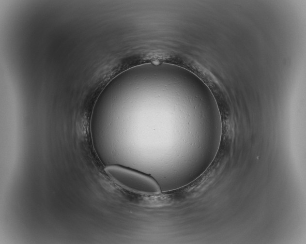 X0000116660517200912211510