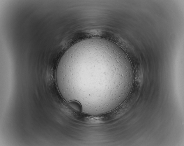 X0000116660518200912211510