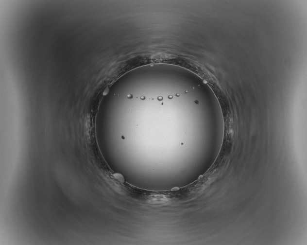 X0000116660519200912211510