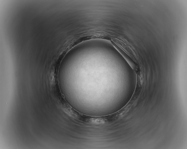 X0000116660520200912211510