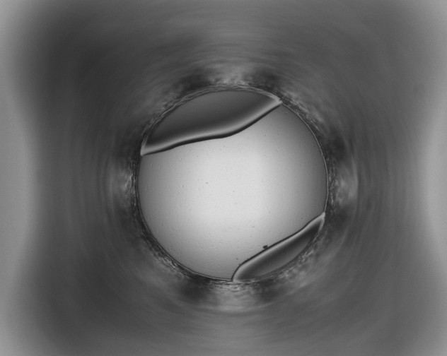 X0000116660521200912211510