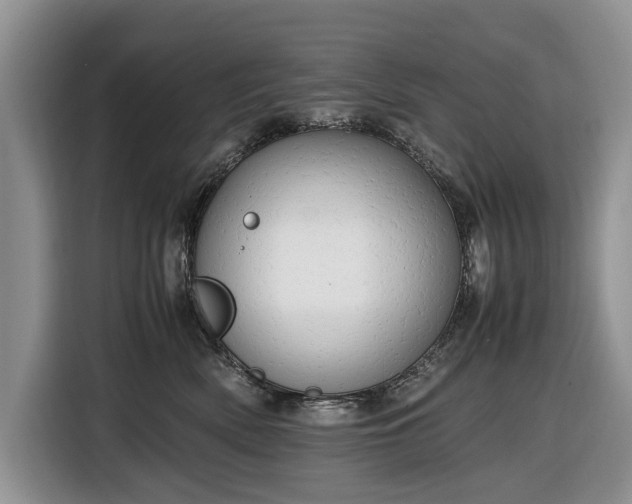 X0000116660522200912211510