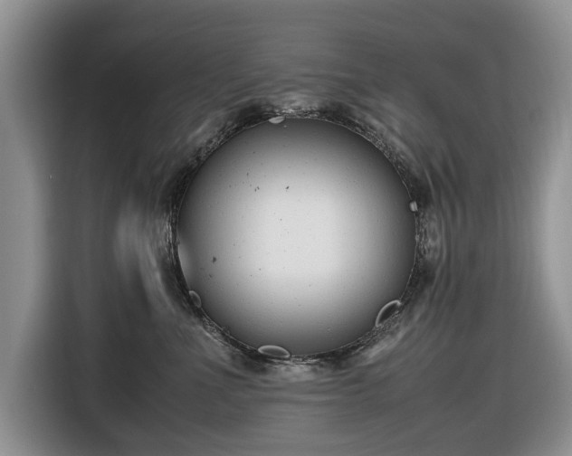 X0000116660523200912211510