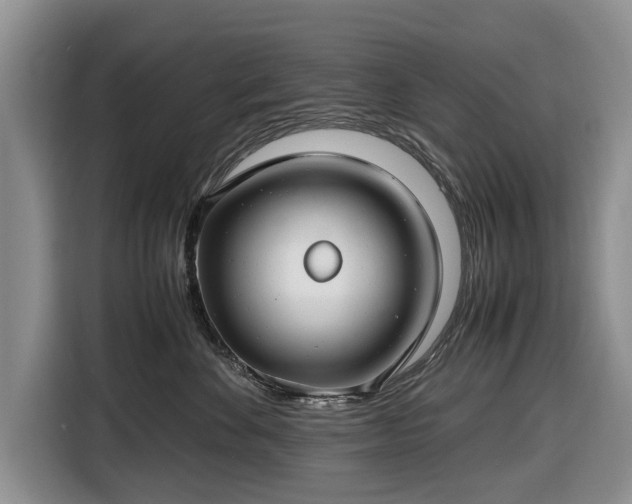 X0000116660524200912211510