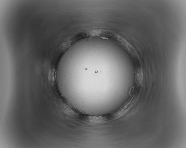 X0000116660525200912211510