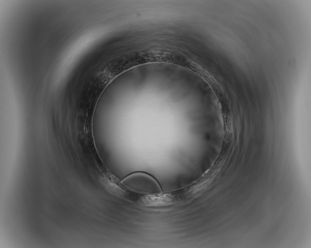 X0000116660526200912211510