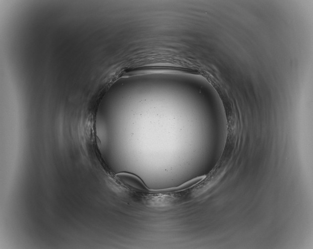 X0000116660527200912211510