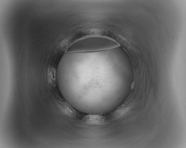 X0000116660528200912211510