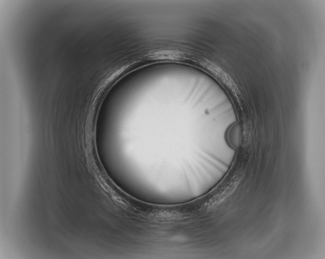 X0000116660529200912211509