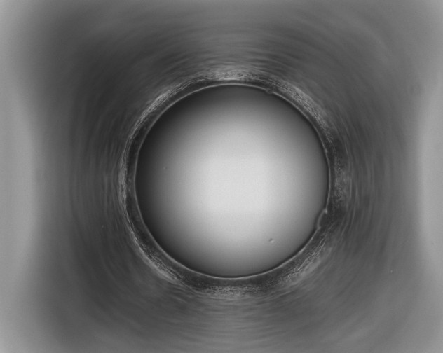 X0000116660530200912211509