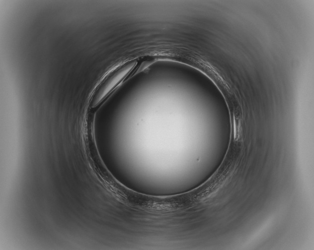 X0000116660531200912211509