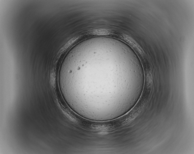 X0000116660533200912211509