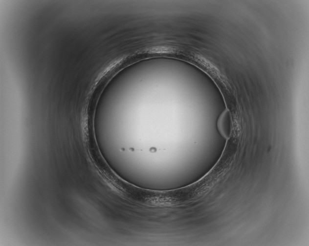 X0000116660535200912211509