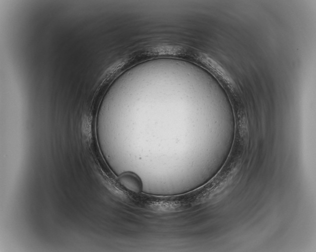 X0000116660537200912211509