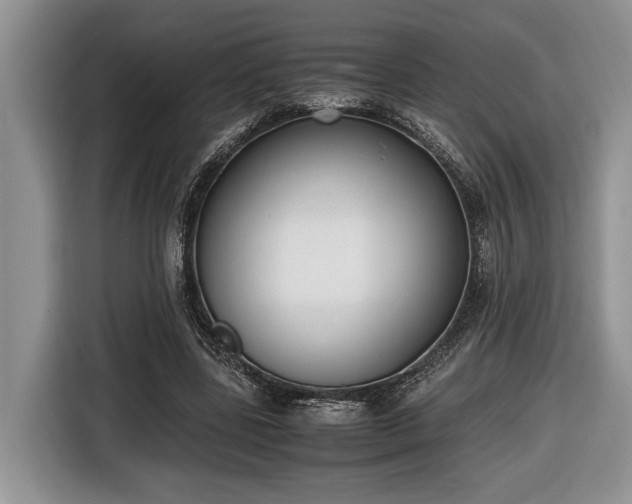 X0000116660539200912211509