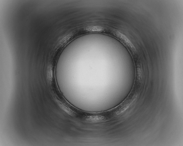 X0000116660541200912211509