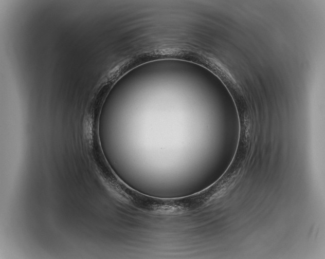 X0000116660542200912211509