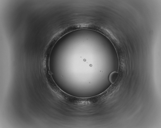 X0000116660543200912211509