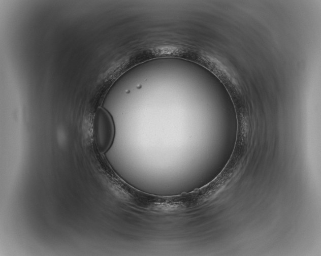 X0000116660545200912211509