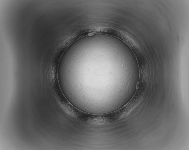 X0000116660546200912211509