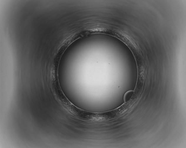 X0000116660547200912211509