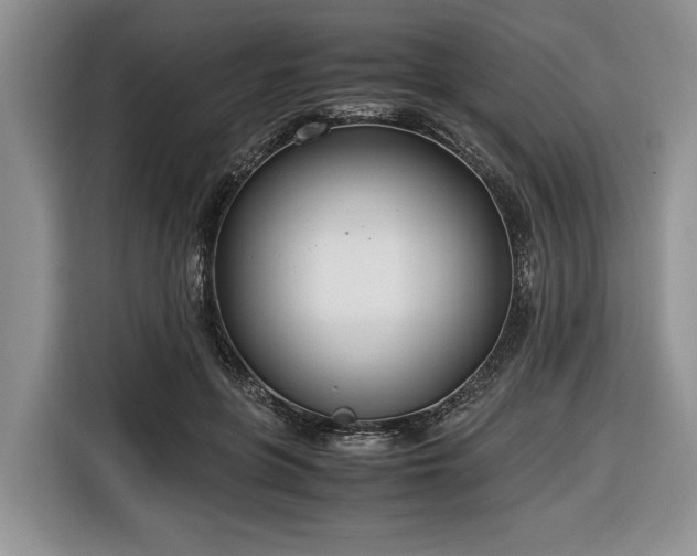 X0000116660551200912211509