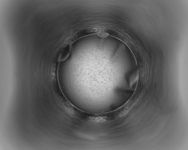 X0000116660553200912211509